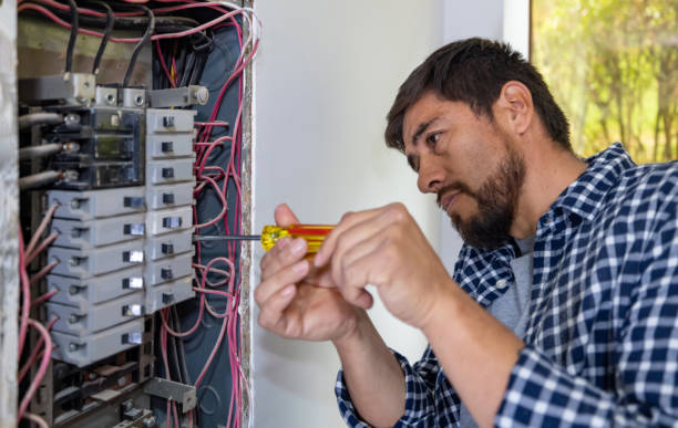 Best Ceiling Fan Installation Electrician  in Gardnerville, NV